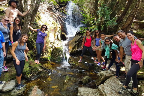 7-Day Super Value Tour Of Tasmania: Explore Tasmania's West And East Coasts - Accommodation Guide 2