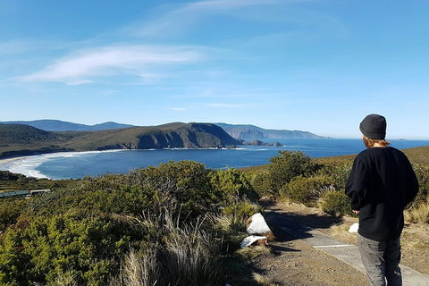 4-Day Fabulous Tasmania Tour: Wineglass Bay, Port Arthur, Devils & Bruny Island - Accommodation Guide 0