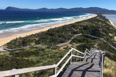 4-Day Fabulous Tasmania Tour: Wineglass Bay, Port Arthur, Devils & Bruny Island - Accommodation Guide 5
