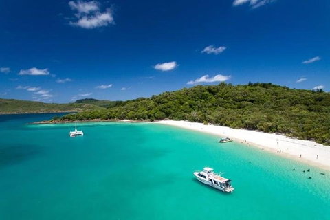 Whitehaven Beach And Hill Inlet | Awesome Beach BBQ | Family Friendly - Accommodation Guide 3