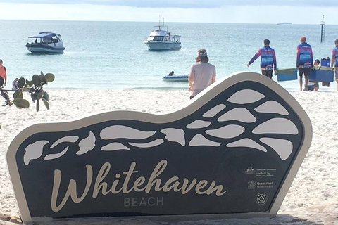 Whitehaven Beach And Hill Inlet | Awesome Beach BBQ | Family Friendly - Accommodation Guide 5