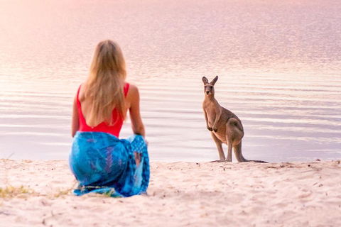 Serenity Cruise To Australia's Everglades - Accommodation Guide 3