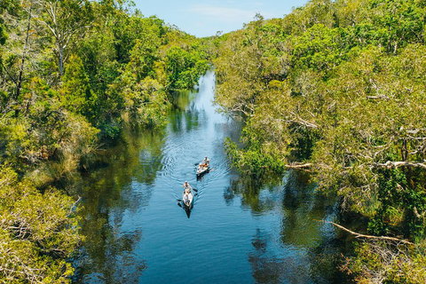 Cruise 'n' Canoe To Australia's Everglades - Accommodation China 3