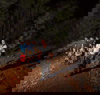 Alice Springs Desert Park Nocturnal Tour - Accommodation Guide