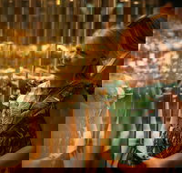 The Perth Mint Guided Heritage Tour and Gold Pour - Accommodation Asia