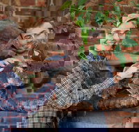 Private Tour Blue Mountains Day Trip from Sydney - Accommodation China