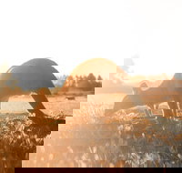 Small Group - 12 Apostles Otways  Great Ocean Road Day Tour from Melbourne - Accommodation China