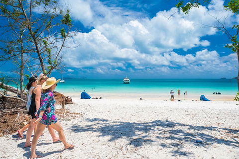 Whitehaven Beach Half-Day Cruises - Accommodation Asia 1