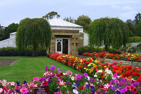 Hobart City Sightseeing Tour Including MONA Admission - Accommodation China 0