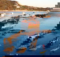 Adventure Moreton Island Wrecks Adventure Package - Accommodation Guide