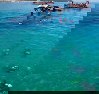 Adventure Moreton Island Scuba Dive Tour - Accommodation Guide