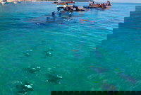 Adventure Moreton Island Scuba Dive Tour, Brisbane