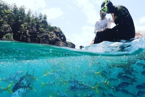2 Night Small Group Whitsundays Sailing Adventure Aboard Mandrake - Accommodation Guide 5