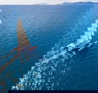 2-Night Whitsunday Islands Sailing Adventure on Trimaran Avatar - Accommodation Guide
