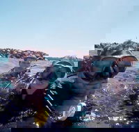 Wave Break Island Scuba Diving on the Gold Coast - Accommodation China