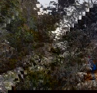 kunanyi / Mt. Wellington Guided Hiking Tour - Accommodation China