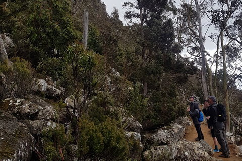 Kunanyi / Mt. Wellington Guided Hiking Tour - Accommodation China 0