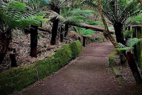 Kunanyi / Mt. Wellington Guided Hiking Tour - Accommodation China 1