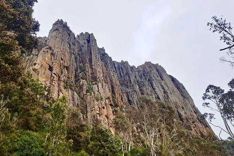 Kunanyi / Mt. Wellington Guided Hiking Tour - Accommodation China 4