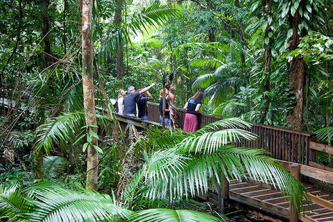 Full Day Daintree Rainforest And Mossman Gorge Tour - Accommodation Guide 1