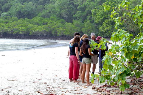 Full Day Daintree Rainforest And Mossman Gorge Tour - Accommodation Guide 2