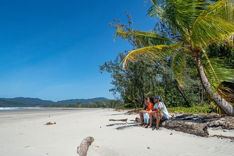 Full Day Daintree Rainforest And Mossman Gorge Tour - Accommodation Guide 4