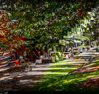 Fully Inclusive Blue Mountains Private Tour inc Scenic World  Featherdale entry - Accommodation China