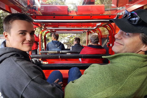 Fully Inclusive Blue Mountains Private Tour Inc Scenic World & Featherdale Entry - Accommodation Guide 1