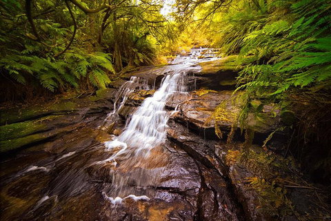 Fully Inclusive Blue Mountains Private Tour Inc Scenic World & Featherdale Entry - Accommodation Guide 3