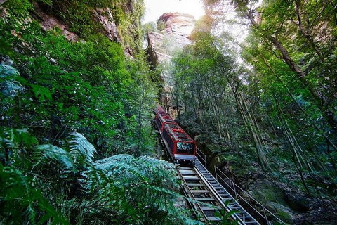 Fully Inclusive Blue Mountains Private Tour Inc Scenic World & Featherdale Entry - Accommodation Guide 4