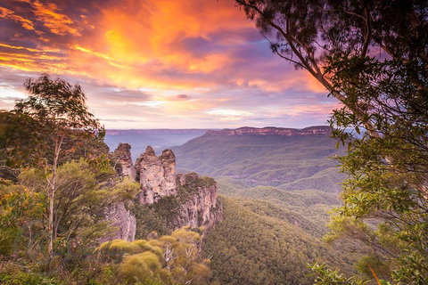 Fully Inclusive Blue Mountains Private Tour Inc Scenic World & Featherdale Entry - Accommodation Guide 5