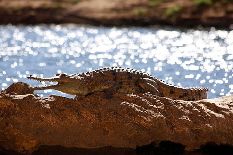 Windjana Explorer - Accommodation Guide 5