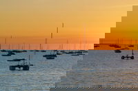 Darwin Shore Excursion Hop-on Hop-off Bus Tour