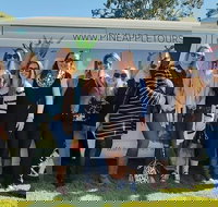 Full Day Mount Tamborine Winery Tour from Gold Coast - Accommodation China