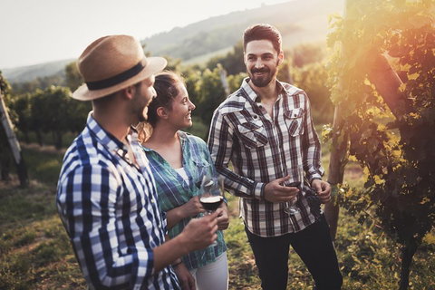 Full Day Mount Tamborine Winery Tour From Gold Coast - Accommodation Guide 5