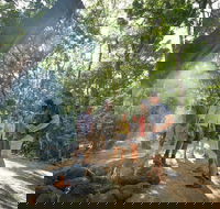 Mossman Gorge Adventure Day - Accommodation Guide