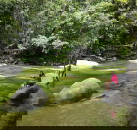 Daintree Dreaming Traditional Aboriginal Fishing from Cairns or Port Douglas - Accommodation China
