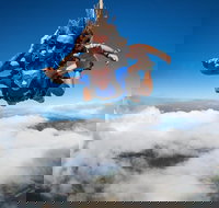 Reef and Rainforest Tandem Sky Dive in Cairns - Accommodation China