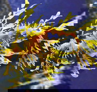 SEA LIFE Melbourne Aquarium Admission Ticket - Accommodation Guide