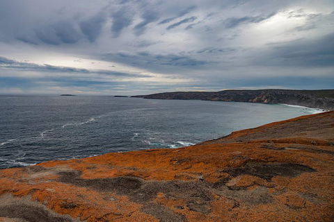 Kangaroo Island Luxury Small Group 'Flinders Chase Focus' Full Day Tour - Accommodation Guide 0