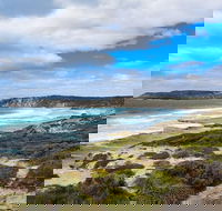 Kangaroo Island Luxury Small Group 'East End Explorer' Full Day Tour - Accommodation Guide