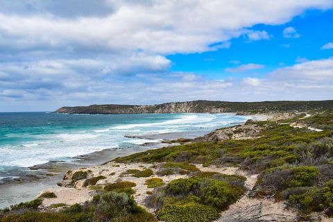 Kangaroo Island Luxury Small Group 'East End Explorer' Full Day Tour - Accommodation Guide 0
