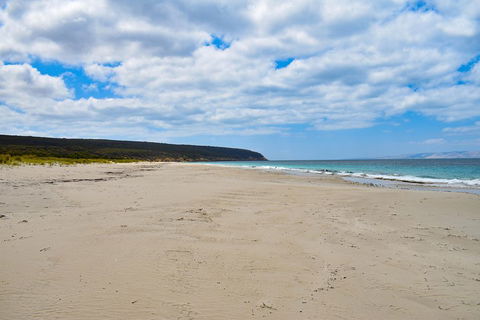 Kangaroo Island Luxury Small Group 'East End Explorer' Full Day Tour - Accommodation Guide 3
