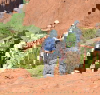 Afternoon Kata Tjuta Small Group Tour - Accommodation Guide