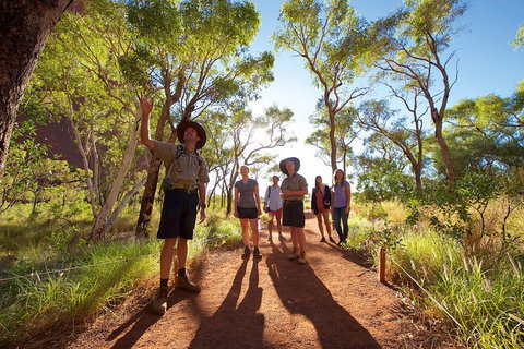 Uluru Small Group Tour Including Sunset - Accommodation Guide 0
