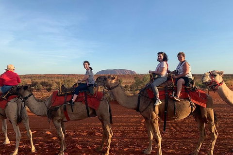 Uluru Small-Group Tour By Camel At Sunrise Or Sunset - Accommodation Asia 2