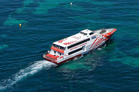 Discover Rottnest With Ferry & Bus Tour From Perth Or Fremantle - Accommodation Guide 3