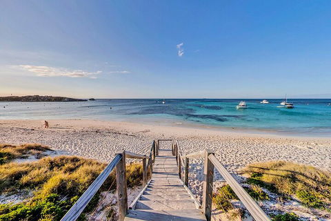 Discover Rottnest With Ferry & Bus Tour From Perth Or Fremantle - Accommodation Guide 4