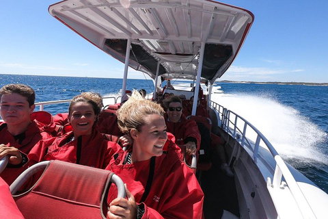 Adventure Rottnest Tour With Ferry & Adventure Cruise From Perth Or Fremantle - Accommodation Guide 0