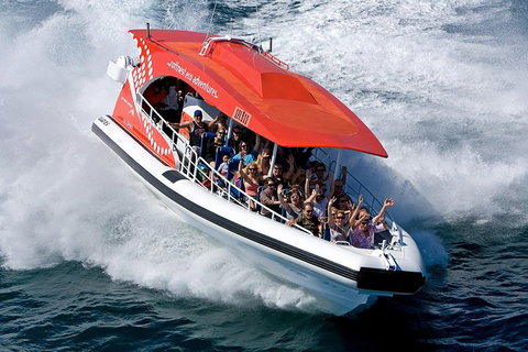 Adventure Rottnest Tour With Ferry & Adventure Cruise From Perth Or Fremantle - Accommodation Guide 2
